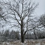 Aidan Browne-Miller - @aidanbrownemiller - Instagram