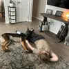 Aidan Brunner - @aidan_brunner - TikTok