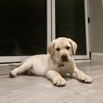 Aidan Bushell - @bushell.aidan - Instagram