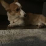 Aidan Cabrera - @aidan_cabrera - Instagram