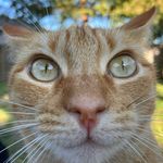 Aidan Cabrera - @aidancabreraa - Instagram