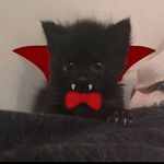 Aiden calhoun - @herpes.free_since.1803 - Instagram
