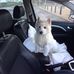 Aidan Mc Carragher - Facebook