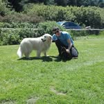 Aidan Carroll - @_aidan__carroll_ - Instagram