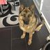 Aidan Carson - Facebook