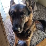 Aidan carson - @ynwannabe67 - Instagram