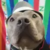 Aidan Carter - @aidan.carter83 - TikTok