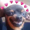 Aidan Chadwick - @user211648213 - TikTok