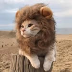 Aidan Chen - @aidan0907 - Instagram