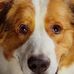Aidan Chen - Facebook