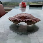 Aidan Chen - @audanaudac - Instagram