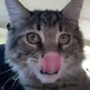 Aidan s - @aidan_schick - TikTok