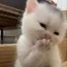 Aidan Chow - Facebook