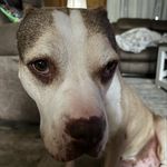 Aidan cobb - @cobb.aidan - Instagram