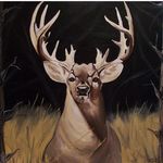 Aidan Cochran - @aidan_cochran_1 - Instagram