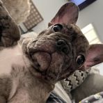 Aiden Cochran - Facebook