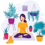 Aidan Colon - @stress_free_zone2021 - Instagram