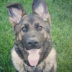 Aidan Compton - @a_compton13 - Instagram