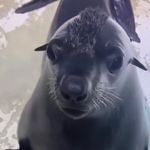 Aidan Conner - @mrpoohbear69 - Instagram