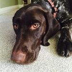Aidan Conway - @aidan_conway - Instagram
