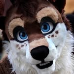 Aidan Corbett - @wolfie055corbett - Instagram