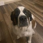 Aidan Cornell - @cornell_aidan - Instagram