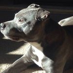 Aidan Cotterell - @aidancotterell - Instagram