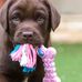 Aidan Cramer - Facebook