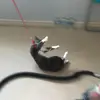 Aidan - @aidan.cross - TikTok