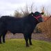 Aidan Crowley - Facebook