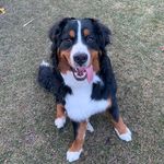 Aidan Cullen - @aidan8957 - Instagram