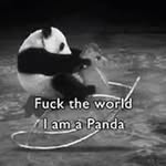 Aidan Mc Cullen - @panda49816 - Instagram