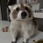 Aidan Curry - @aidanjcurry - Instagram