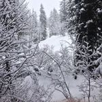 Aidan Curtis - @aidanacurtis - Instagram