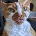 Aidan Daily - Facebook