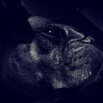 Aidan David - @aidan_david_ - Instagram