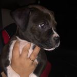 Aidan de Leon - @aidan_deleon15 - Instagram