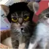 aidandeleon65 - @aidandeleon65 - TikTok