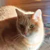 Aiden Dever - @adever13 - TikTok