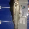 aidan.doran0 - @aidan.doran0 - TikTok