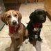Aidan Dunphy - Facebook