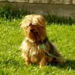 Aidan Duran - @aidan_carlos_34 - Instagram