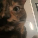 Aidan Eddy - @peanuttttttr - Instagram