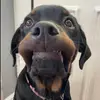 aidaneddy1 - @aidaneddy1 - TikTok