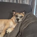 Aiden Eddy - @me_monkey2025 - Instagram