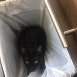 Aidan Edelman - @aedelman10 - Instagram