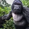 Aidanedmonds - @aidanedmonds3 - TikTok