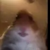 Aidan Escobar - @aidanescobar06 - TikTok