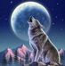 Aidan Escobar - Facebook