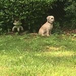 Aidan Farley - @aidan.farley1011 - Instagram